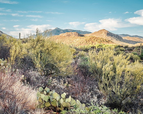 Colossal Cave Mountain Park