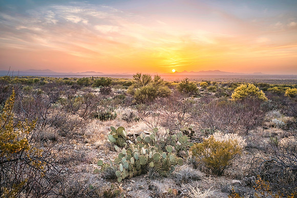 Tucson Mountains
