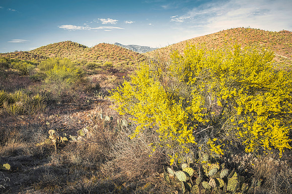 View from Pistol Hill, Vail, Arizona