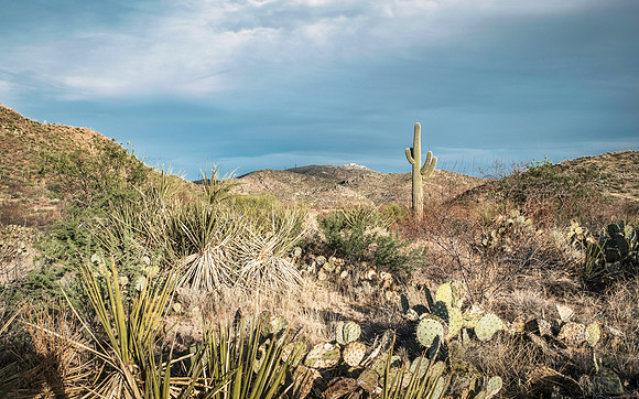 View from Pistol Hill, Vail, Arizona