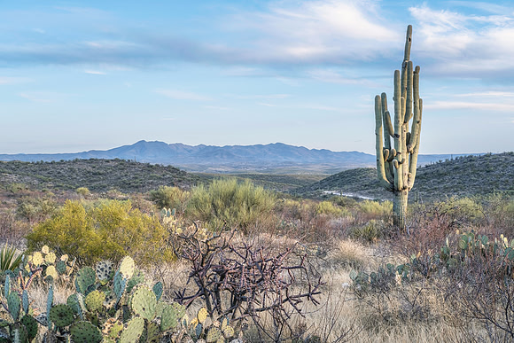 View from Pistol Hill, Vail, Arizona