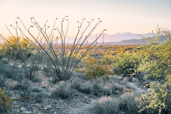 Santa Catalina Mountains, Vail