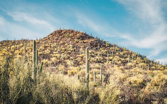 Colossal Cave Mountain Park